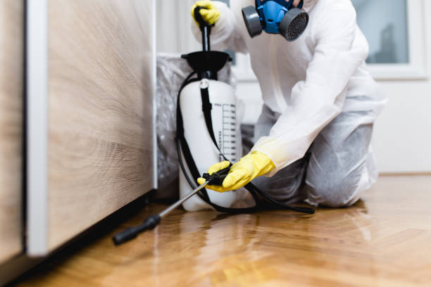 Best Pest Inspection Near Me  in Wading River, NY