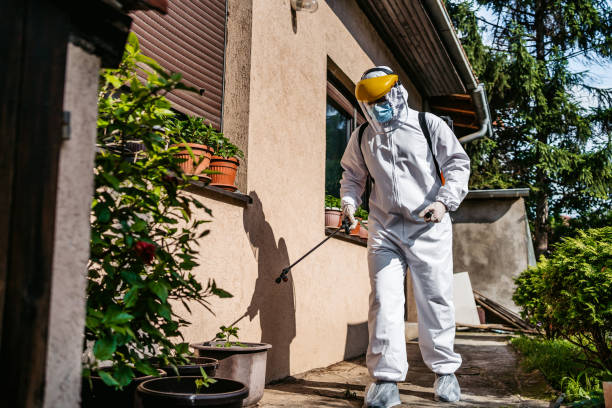 Insect Control in Wading River, NY