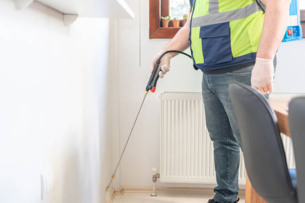 Best Ant Control Services  in Wading River, NY