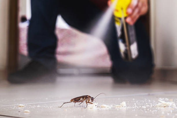 Best Pest Removal Services  in Wading River, NY