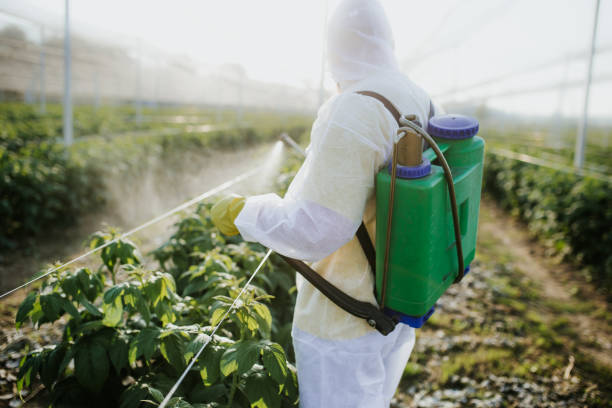 Best Wildlife Control Services  in Wading River, NY